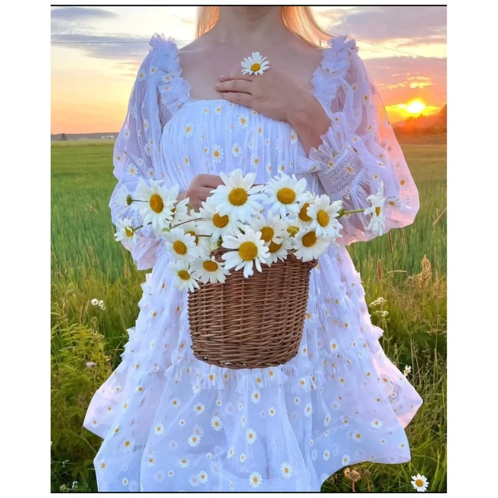 Lace & Beads Tulle Daisy Tiered Mini Dress - Picture 14 of 14